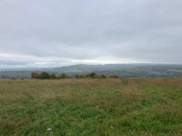 View of Leith Hill
